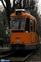 GTT_2874_Torino_2810129.JPG