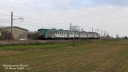 Trenord_Le562_042_S_Fiorano.jpg