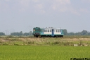 FS_ALn663_1170_Nibbia_2810129.JPG