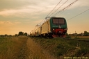 Trenord_E464_326_Barbianello_2810129.jpg