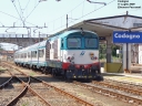 FS_D445_1126_Codogno_2810129.JPG