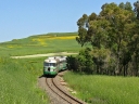 FDS_ADe_12_Suelli_2810129.jpg