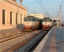 FS_E656_033_Lecce_2810129.JPG